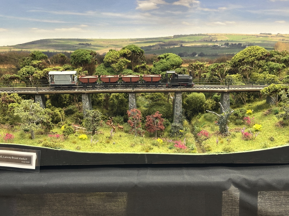 A goods train in Devon